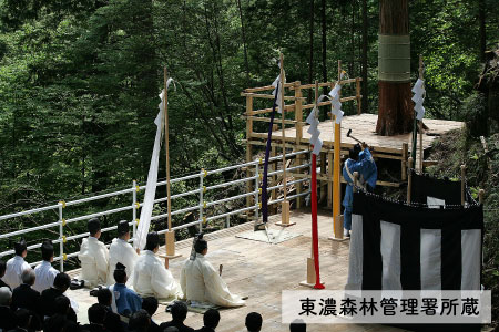 御用材伐採式